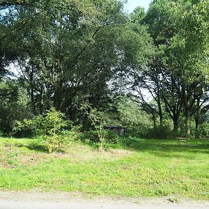 Southern cheetah drive-through exhibit, 2023-08-15