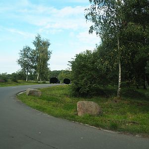 Southern cheetah drive-through exhibit, 2023-08-15