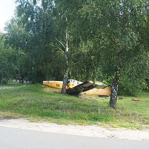 Southern cheetah drive-through exhibit, 2023-08-15