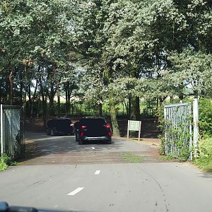 Entrance to European forest drive-through section, 2023-08-15
