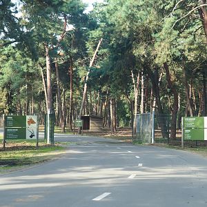 Access to Asian forest drive-through section, 2023-08-15