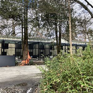 Pheasant Aviary Construction