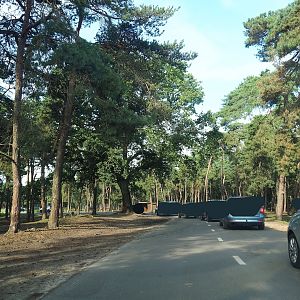 Asian forest drive-through section, 2023-08-15