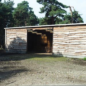 Vietnamese sika deer barn, 2023-08-15
