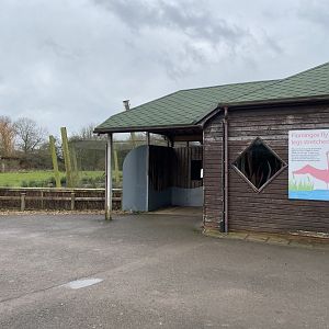 Andean flamingos and South American aviary 290224