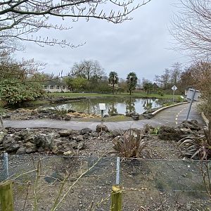 Hawaiian area 290224