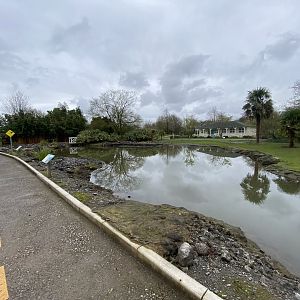 Hawaiian area 290224