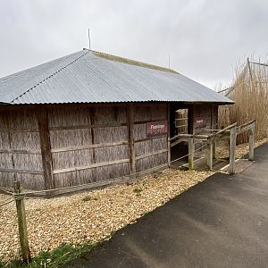 Flamingo Lagoon 290224