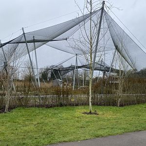 Waterscapes Aviary 290224