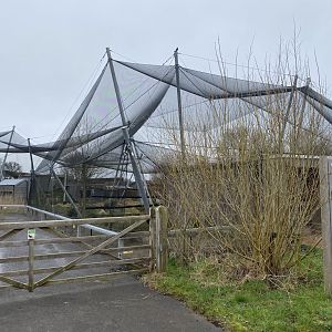 Waterscapes Aviary 290224