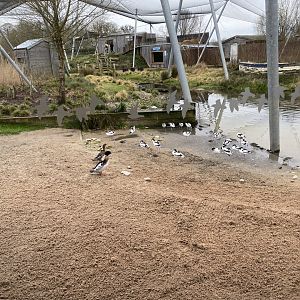 Waterscapes Aviary 290224