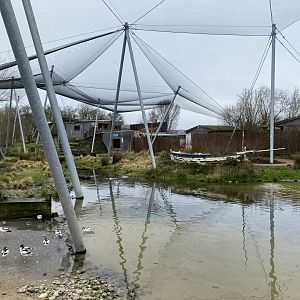 Waterscapes Aviary 290224