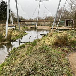 Waterscapes Aviary 290224