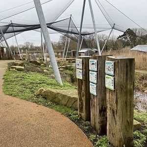 Waterscapes Aviary 290224