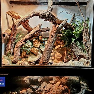 Reptilandia Reptile Lagoon - Empty Entrance Exhibit #2