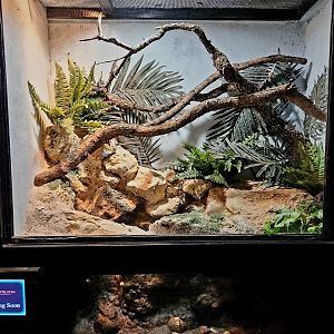 Reptilandia Reptile Lagoon - Empty Entrance Exhibit #3