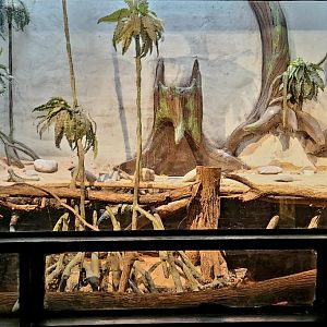 Reptilandia Reptile Lagoon - Northeast Australian Exhibit