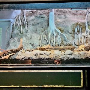 Reptilandia Reptile Lagoon - Cuban Exhibit