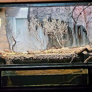 Reptilandia Reptile Lagoon - Tsingy Peaks Exhibit