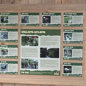 Signage for Forest Wetlands
