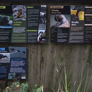 Signage for Kea Aviary