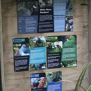 Signage for Blue Duck Aviary