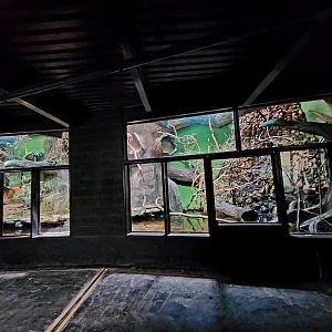 Reptilandia Reptile Lagoon - Crocodile Monitor Exhibit