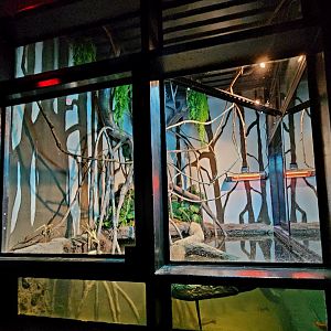 Reptilandia Reptile Lagoon - Rio Orinoco Exhibit