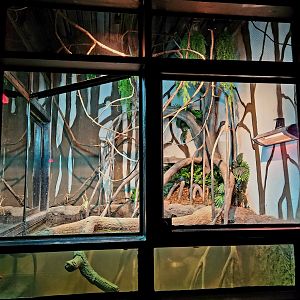 Reptilandia Reptile Lagoon - Rio Orinoco Exhibit