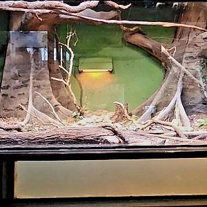 Reptilandia Reptile Lagoon - West African Exhibit