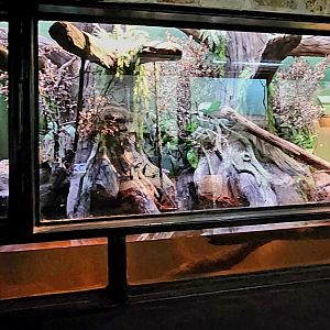 Reptilandia Reptile Lagoon - Central African Exhibit
