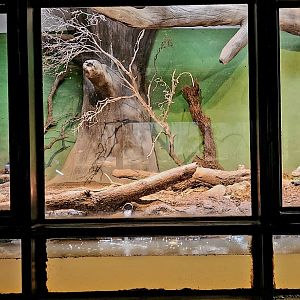 Reptilandia Reptile Lagoon - Exhibit