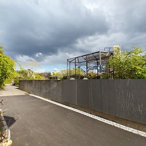 Monkey house - Rooftop exhibits and visitor area