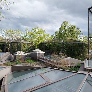 Monkey house - Rooftop exhibits for callithrichidae