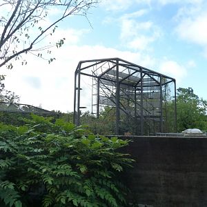 Monkey house - Rooftop exhibit for black-handed spider monkey
