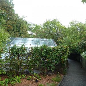 Monkey house - Rooftop visitor area