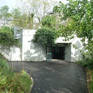 Monkey house - Entrance