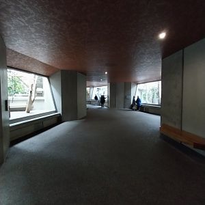 Monkey house - Visitor area