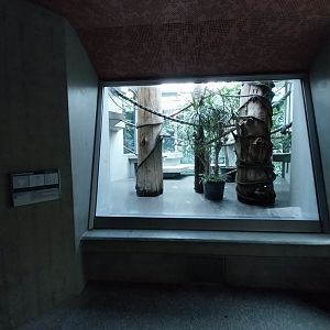 Monkey house - Golden lion tamarin exhibit