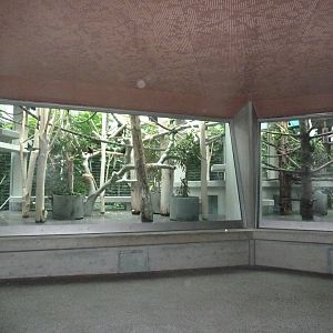 Monkey house - Coppery titi exhibit