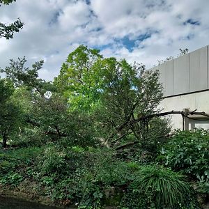 Monkey house - Island enclosure