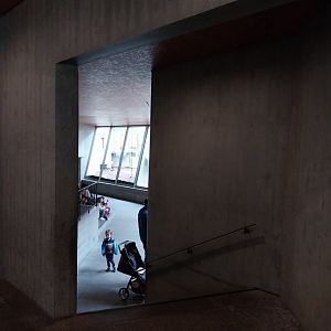 Ape house - Visitor area