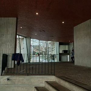 Ape house - Visitor area