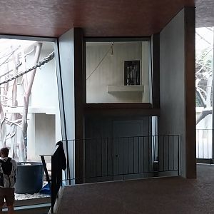 Ape house - Western lowland gorilla - Sluice system