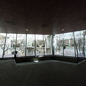 Ape house - Sumatran orangutan enclosures