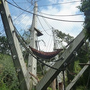 Ape house - Geigy anlage - Brutalist construction