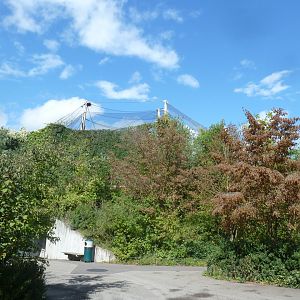 Ape house - Geigy anlage