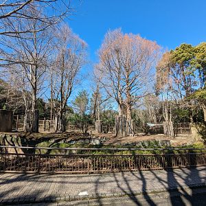 Honshu Sika Deer Exhibit (Old Kansu Wapiti Exhibit)