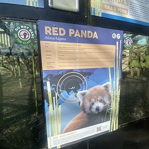 Red panda signage 040324