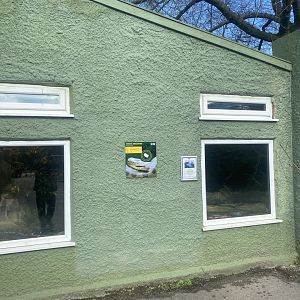 Green anaconda viewing windows from outside Reptile House 040324